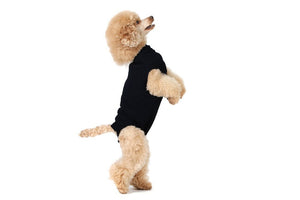 Suitical Recovery Suit for Dogs